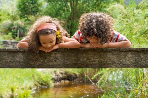 NaturOrte – die schönsten Plätze in der Natur