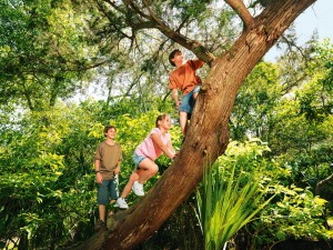 Schöne Plätze in der Natur für Familien / NaturOrte