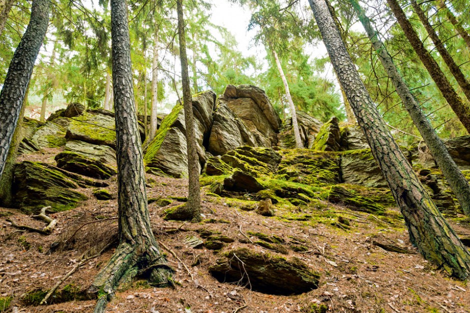 wandern mit kindern hessen / Magazin SCHULE / NaturOrte