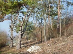 außerschulische Naturlernorte, Winterhalde / Magazin SCHULE