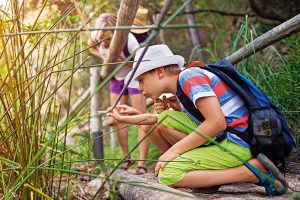 Offline-Ferien – Ferienspaß ohne Handy – Magazin SCHULE ONLINE