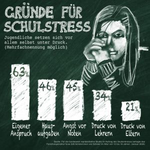 Viele Schuler Machen Sich Selbst Druck Magazin Schule