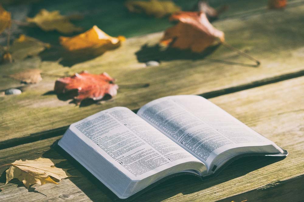Eine Bibel – Bibel-Quiz – Magazin SCHULE